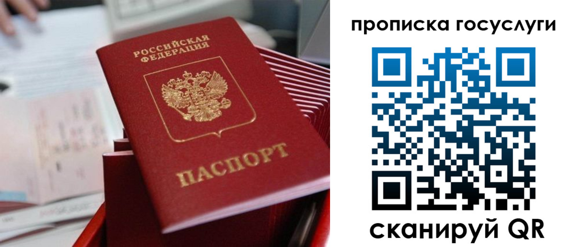 прописка законно в Жукове